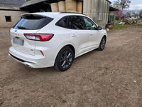 Gebraucht Ford Kuga ST-Line X 250 PS (183 kW) 2020 Weiß SUV