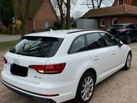 gebraucht Audi A4 35 TDI S tronic Avant