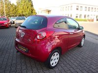 Gebraucht Ford Ka Titanium 69 PS (50 kW) 2014 Funky magenta metallic Kleinwagen