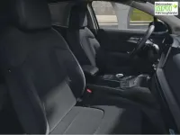 Neu Kia Sportage Vision 179 PS (131 kW) 2026 Experience green metallic SUV