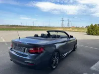 Gebraucht BMW 218 M Sport 150 PS (110 kW) 2017 Grau Cabrio