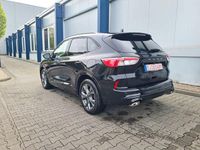 Gebraucht Ford Kuga ST-Line X 150 PS (110 kW) 2023 Schwarz SUV