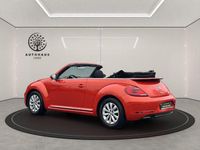 Gebraucht VW Beetle Cabriolet Design 105 PS (77 kW) 2018 Orange Cabrio