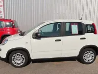Gebraucht Fiat Panda 69 PS (50 kW) 2024 Weiß Kleinwagen