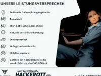 Usata Cupra Leon 204 CV (150 kW) 2023 Grigio Berlina