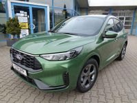 Neu Ford Kuga ST-Line 151 PS (111 kW) 2026 Grün SUV