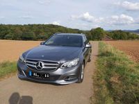 gebraucht Mercedes E250 BlueEfficiency AVANTGARDE