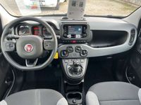 gebraucht Fiat Panda MY22 Hybrid DAB Bluetooth Klima