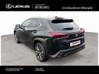 Gebraucht Lexus UX 250h Sport Line 184 PS (135 kW) 2023 Graphite black (metallic) SUV
