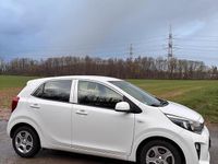 Gebraucht Kia Picanto 68 PS (50 kW) 2017 Weiß Kleinwagen