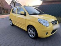 Gebraucht Kia Picanto 65 PS (47 kW) 2010 Gelb Kleinwagen