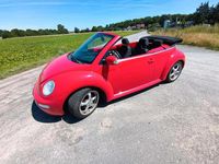 Gebraucht VW New Beetle 150 PS (110 kW) 2004 Rot Kleinwagen