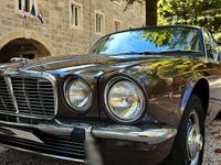 Gebraucht Jaguar XJ6 1973 Limousine