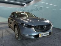 Gebraucht Mazda CX-30 Exclusive 150 PS (110 kW) 2024 Grau SUV