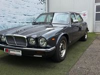 Gebraucht Jaguar XJ6 205 PS (150 kW) 1980 Grau Limousine