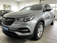 Gebraucht Opel Grandland X Business Edition 131 PS (96 kW) 2020 Kontrast grau/quarz silber SUV
