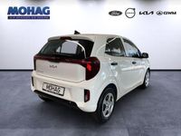 Neu Kia Picanto Edition 7 63 PS (46 kW) 2025 Weiss Kleinwagen