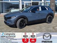 Neu Mazda CX-30 Nagisa 140 PS (102 kW) 2025 SUV