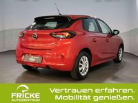 Gebraucht Opel Corsa Edition 75 PS (55 kW) 2020 Peperoncino red Kleinwagen