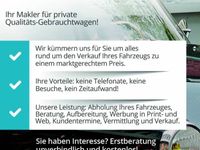 gebraucht VW T1 Brasil