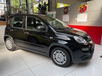 Neu Fiat Panda 69 PS (50 kW) 2026 Schwarz Kleinwagen