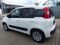 Gebraucht Fiat Panda Easy 80 PS (58 kW) 2018 Weiß Kleinwagen