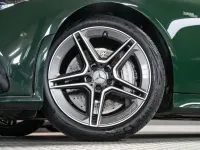 Gebraucht Mercedes CLS53 AMG AMG 435 PS (319 kW) 2019 Classicgrün uni Coupé