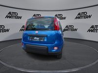 Gebraucht Fiat Panda 51 PS (37 kW) 2024 Blau Kleinwagen