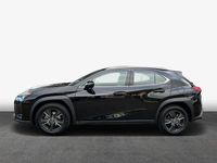 gebraucht Lexus UX 250h Executive Line