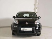 Gebraucht Fiat Panda 69 PS (50 kW) 2024 Schwarz Kleinwagen