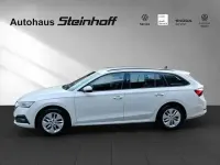 Gebraucht Skoda Octavia Style 116 PS (85 kW) 2021 Weiß Kombi
