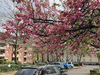 Gebraucht Audi A4 177 PS (130 kW) 2013 Braun Limousine