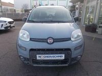 Gebraucht Fiat Panda 4x4 Wild 86 PS (63 kW) 2020 Grau Kleinwagen