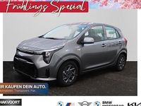 Neu Kia Picanto Vision 68 PS (50 kW) 2026 Grau Kleinwagen