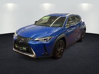 Gebraucht Lexus UX 250h Launch Edition 178 PS (130 kW) 2019 Celestial blue SUV