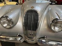 Brugt Jaguar XK 1953 Sølv Cabriolet