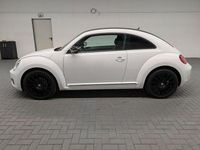 Gebraucht VW Beetle Design 105 PS (77 kW) 2012 Weiß (candyweiss) Kleinwagen