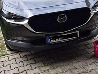 Gebraucht Mazda CX-30 Selection 150 PS (110 kW) 2020 Grau SUV