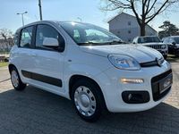 Gebraucht Fiat Panda Lounge 69 PS (50 kW) 2016 Weiß Kleinwagen