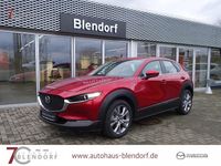 Gebraucht Mazda CX-30 Selection 150 PS (110 kW) 2023 Rot SUV