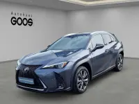 Gebraucht Lexus UX 250h 184 PS (135 kW) 2024 Grau SUV