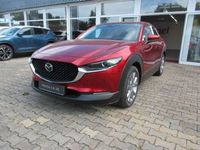 gebraucht Mazda CX-30 G 150 AT Exclusive MY 2024 / BOSE / M-LED