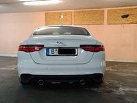 Gebraucht Jaguar XE 250 PS (183 kW) 2020 Weiß Limousine