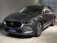 gebraucht Mazda CX-30 Selection X-186/6GS/Leder/NAV/Bose/360-Kamera