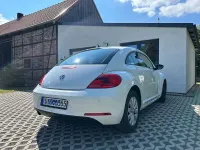 Gebraucht VW Beetle Design 105 PS (77 kW) 2014 Weiß Kleinwagen
