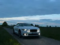 Gebraucht Ford Mustang 306 PS (225 kW) 2016 Weiß Cabrio