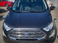 Gebraucht Ford Ecosport Titanium 125 PS (91 kW) 2020 Grau SUV