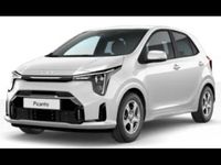 Neu Kia Picanto 68 PS (50 kW) 2026 Weiß Kleinwagen