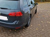 Gebraucht VW Golf VII Allstar 150 PS (110 kW) 2016 Grau Kombi