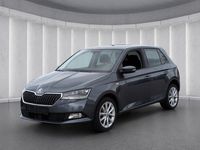 Gebraucht Skoda Fabia Soleil 95 PS (69 kW) 2020 Grau Kleinwagen